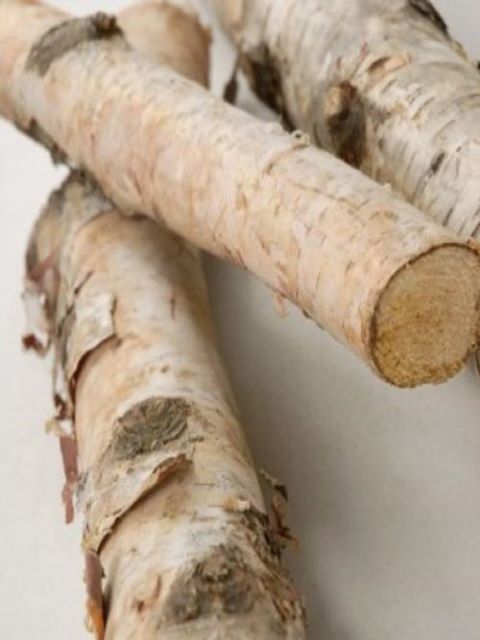 Birch Poles 24" x 1-2"