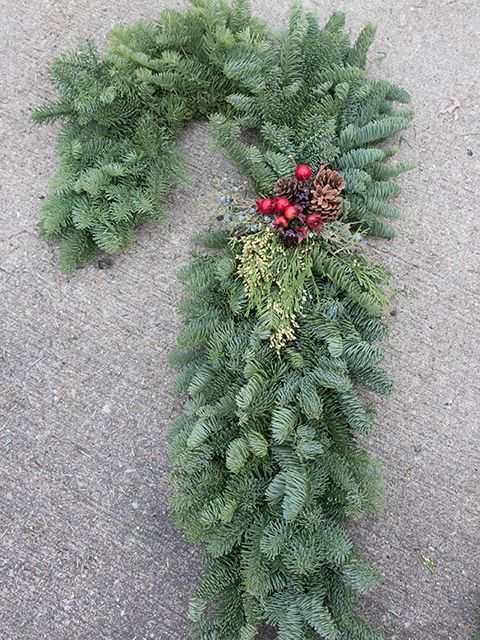 Candy Cane 36"