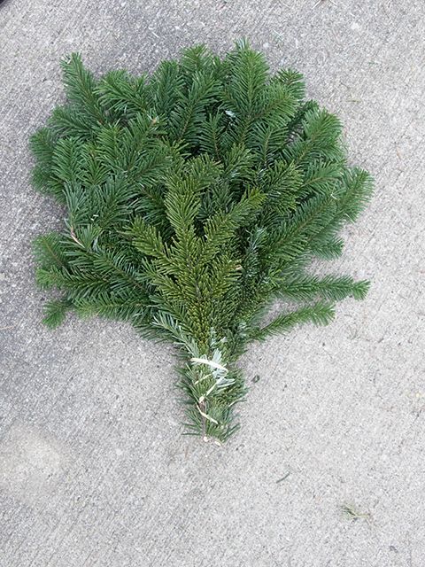 Prepack Noble Fir