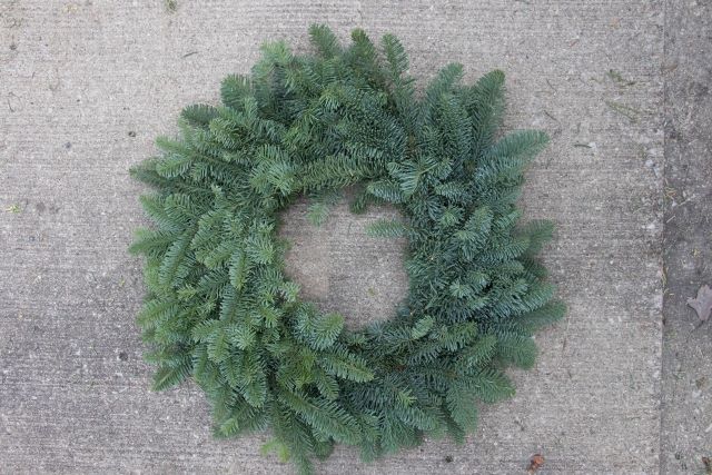 Wreath 12" Noble Fir