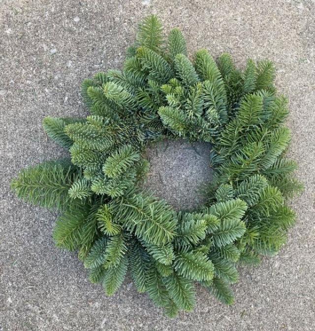 Wreath 8" Noble Fir
