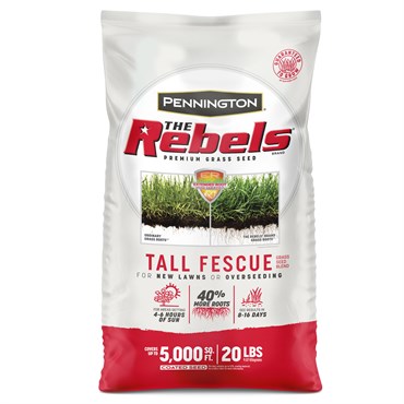 Rebels Tall Fescue Blend 20lb