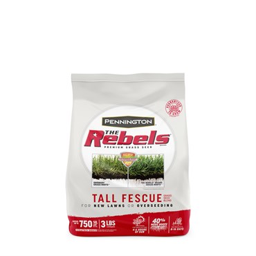 Rebels Tall Fescue Blend 3lb