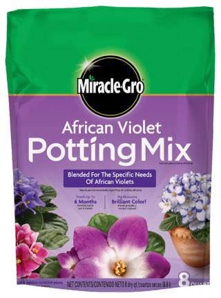 MG African Violet Mix 8QT